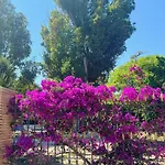 Penthouse Del Mar דירה